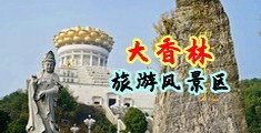 无码插逼视频中国浙江-绍兴大香林旅游风景区